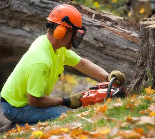 tree services Pinetops